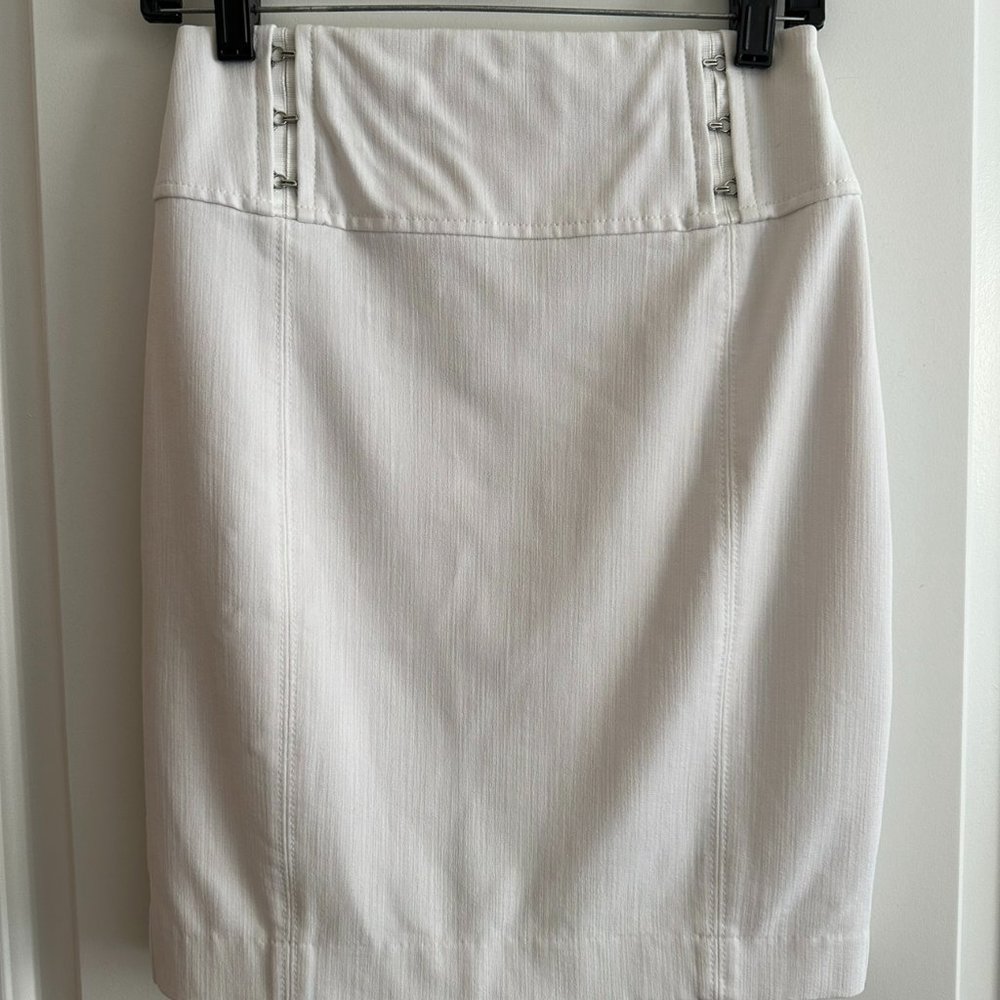 Express High-Waisted Pencil Skirt